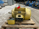 Baldor EFM4316T Motor (75 HP, 1,780 RPM, 230/460 V)