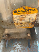 Máquina para hacer hielo en escamas de acero inoxidable Northstar M60 (31 toneladas de hielo por día)