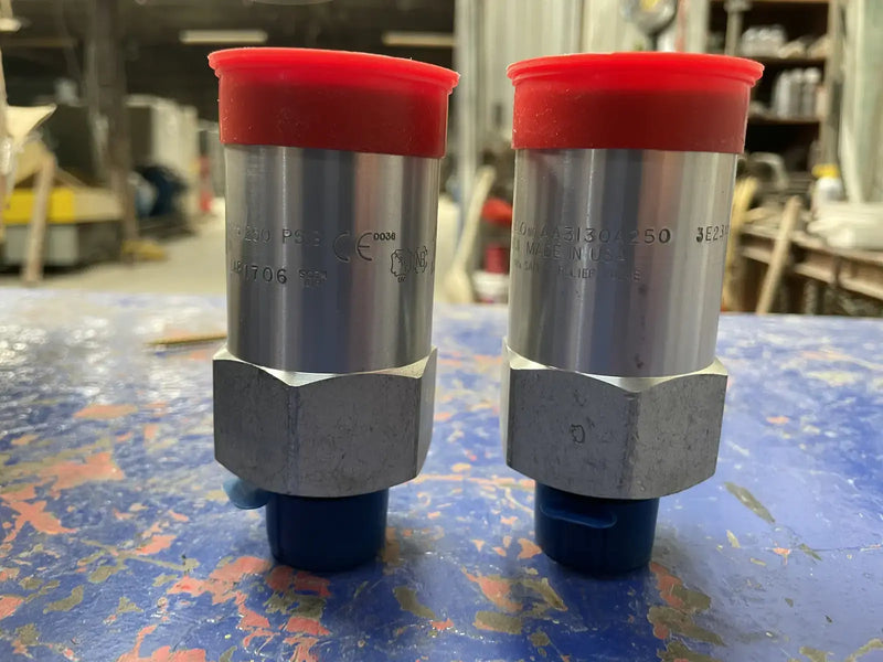 REGO AA3130A250 Pressure Safety Relief Valve (3/4in x 1in)