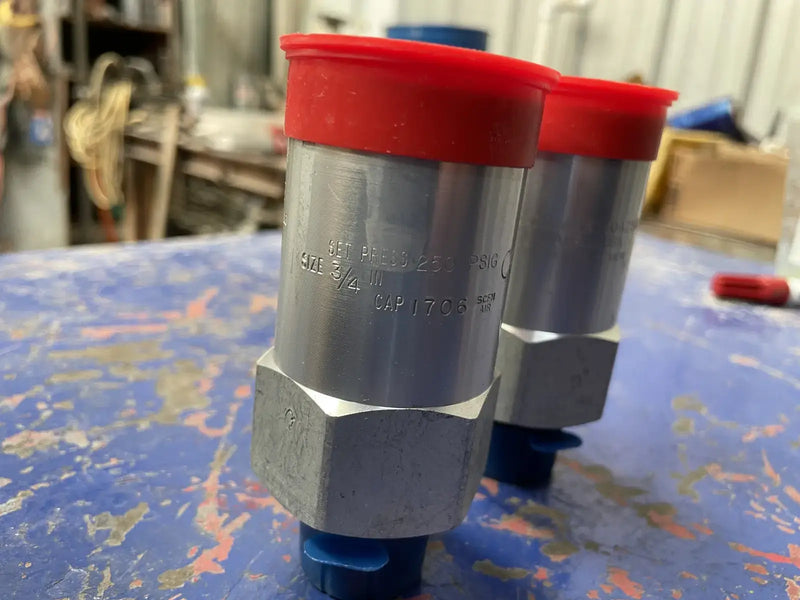 REGO AA3130A250 Pressure Safety Relief Valve (3/4in x 1in)