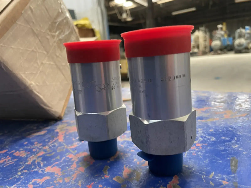 REGO AA3130A250 Pressure Safety Relief Valve (3/4in x 1in)