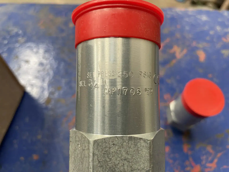 REGO AA3130A250 Pressure Safety Relief Valve (3/4in x 1in)