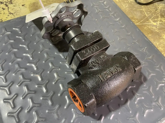 Henry 340F-E Expansion Globe Valve (1 in. FPT)