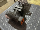 Henry 340F-E Expansion Globe Valve (1 in. FPT)