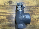 Cyrus Shank 803 Safety Relief Valve (400 PSI)