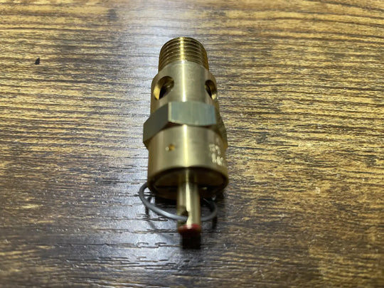 Ingersoll Rand 17928749 Safety Relief Valve (200 PSI)