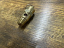 Ingersoll Rand 31385693 Safety Valve (200 PSI)