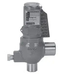 Hansen Technologies EZB-200-BT1 Cartridge Pressure Relief Valve (1/2" MPT)