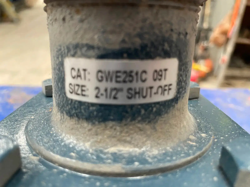 Hansen Technologies GWE251C Shutoff Globe Valve (2-1/2" BW)