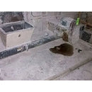 Transportador de barrena