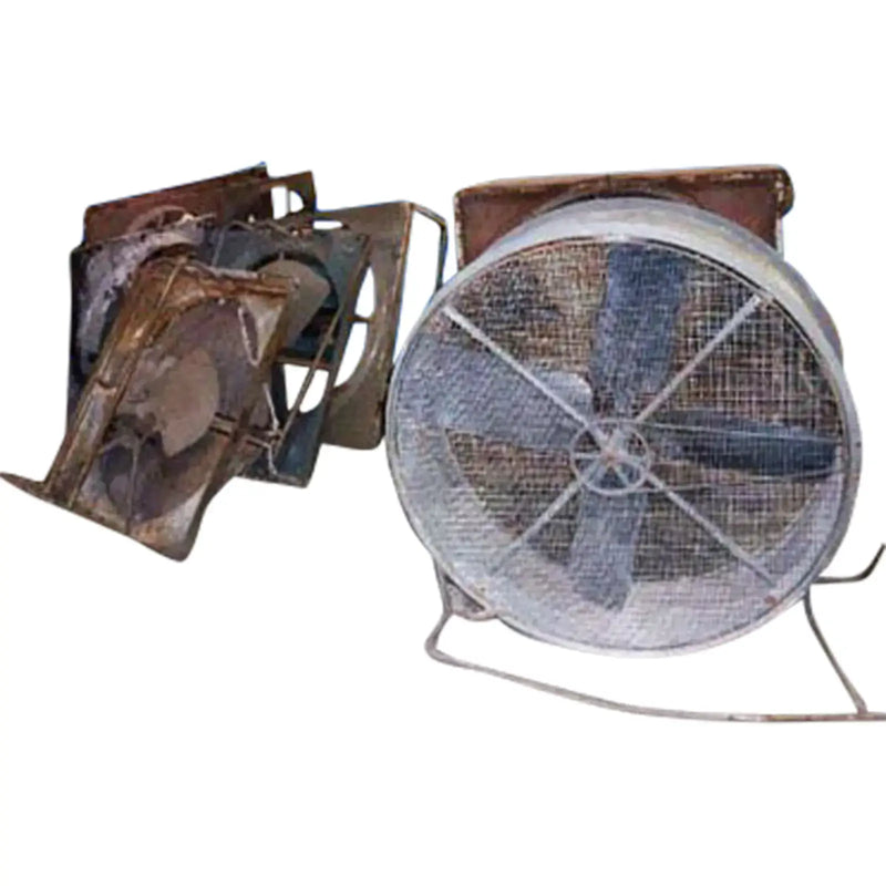 Fans