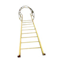 Ladder with Guard