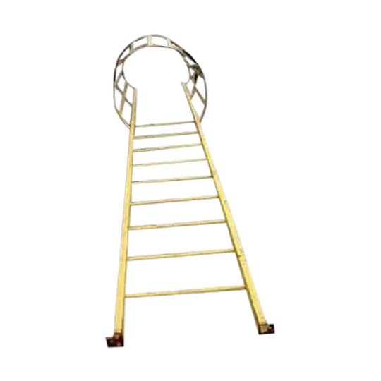 Ladder with Guard