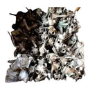 Válvulas sanitarias de tapón de 3 vías - 1,5 pulg.