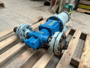 GEA Rotary Gear Pump (3 HP)