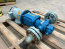 GEA Rotary Gear Pump (3 HP)