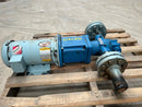 GEA Rotary Gear Pump (3 HP)