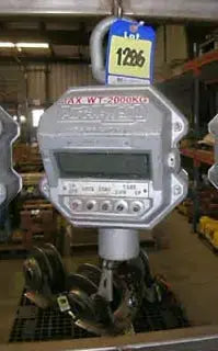 Port-A-Weigh Portable Hang-up Scale