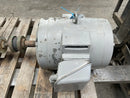Viking AV428AL Rotary Gear Pump