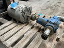 Viking AV428AL Rotary Gear Pump