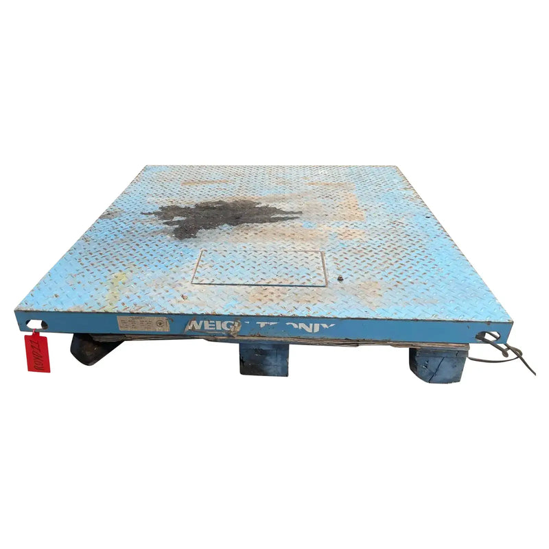 Avery Weigh-Tronix DSL4848-05 Series Floor Scale
