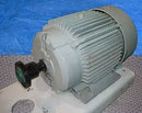 Reliance XT Duty Master A-C Motor- 25 HP