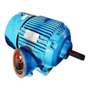 Pacemaker Motor- 15 HP