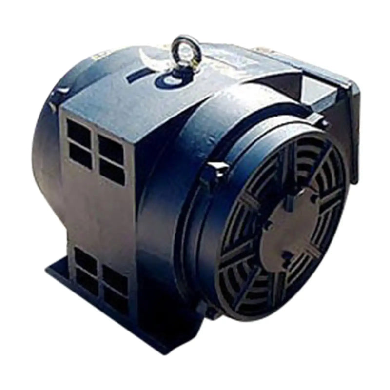 Motor eléctrico Leeson - 125 CV