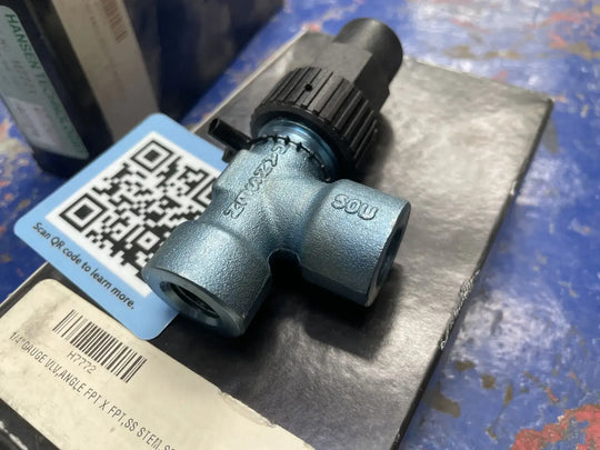 Hansen Technologies H7771 Gauge Purge Valve (1/4" MPT x 1/4" FPT)