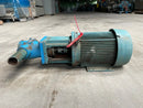 Viking HV2953 Gear Pump (3 HP)