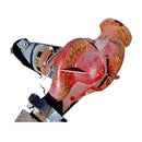 Bomba centrífuga Armstrong 4300 (25 HP, 100 GPM máx.)