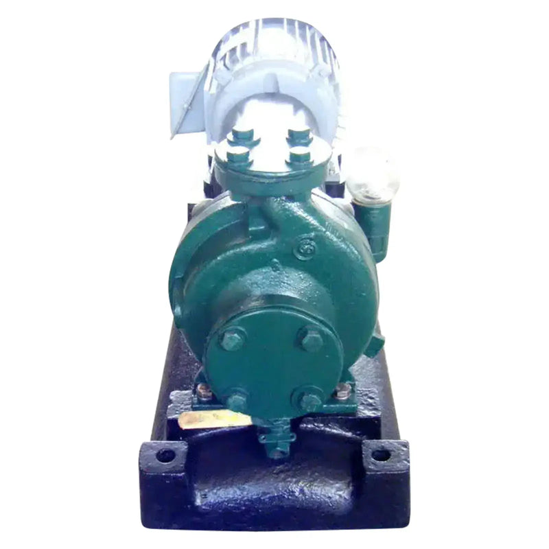 Bomba centrífuga Goulds 3196 (5 HP, 70 GPM máx.)