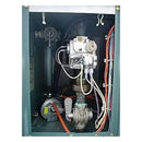 Raypak Hi Delta Hot Water Boiler- 9 HP