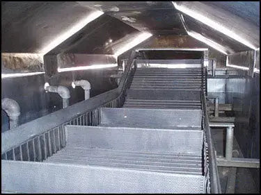 Stainless Steel Belt Blancher - 2 ft. Wide