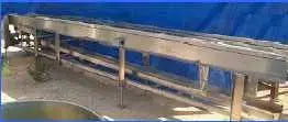 Stainless Steel Belt Conveyor - 7 in. wide
