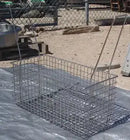 Stainless Steel Wash Basket