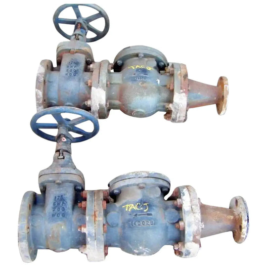 Válvula de compuerta de 4 pulg. - Válvula de retención de 4 pulg. - Reductor de 4 pulg. a 2 pulg.