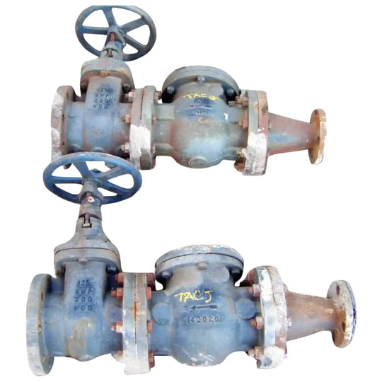 Válvula de compuerta de 4 pulg. - Válvula de retención de 4 pulg. - Reductor de 4 pulg. a 2 pulg.