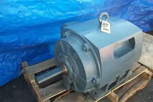 Teco 125 HP-54 HP 2- Speed Homogenizer Motor