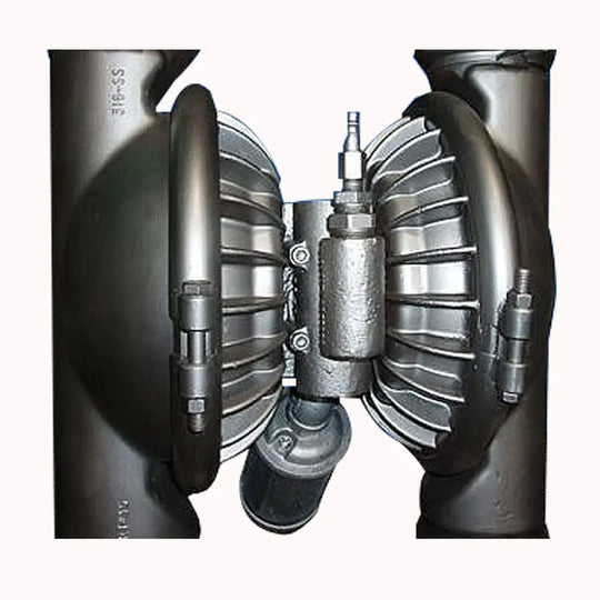 Wilden Double Diaphragm Pump