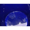 Winthrop Stearns Inc. Sloped Bottom Glass Lined Tank 120 Gallon