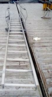Aluminum Ladder with Galvanized Steel Safety Cage Not Specified 