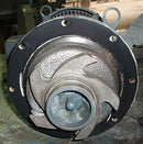 Ampco Centrifugal Pump Z-Series Ampco 