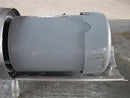 APV Puma Centrifugal Pump - 1 HP APV Puma 