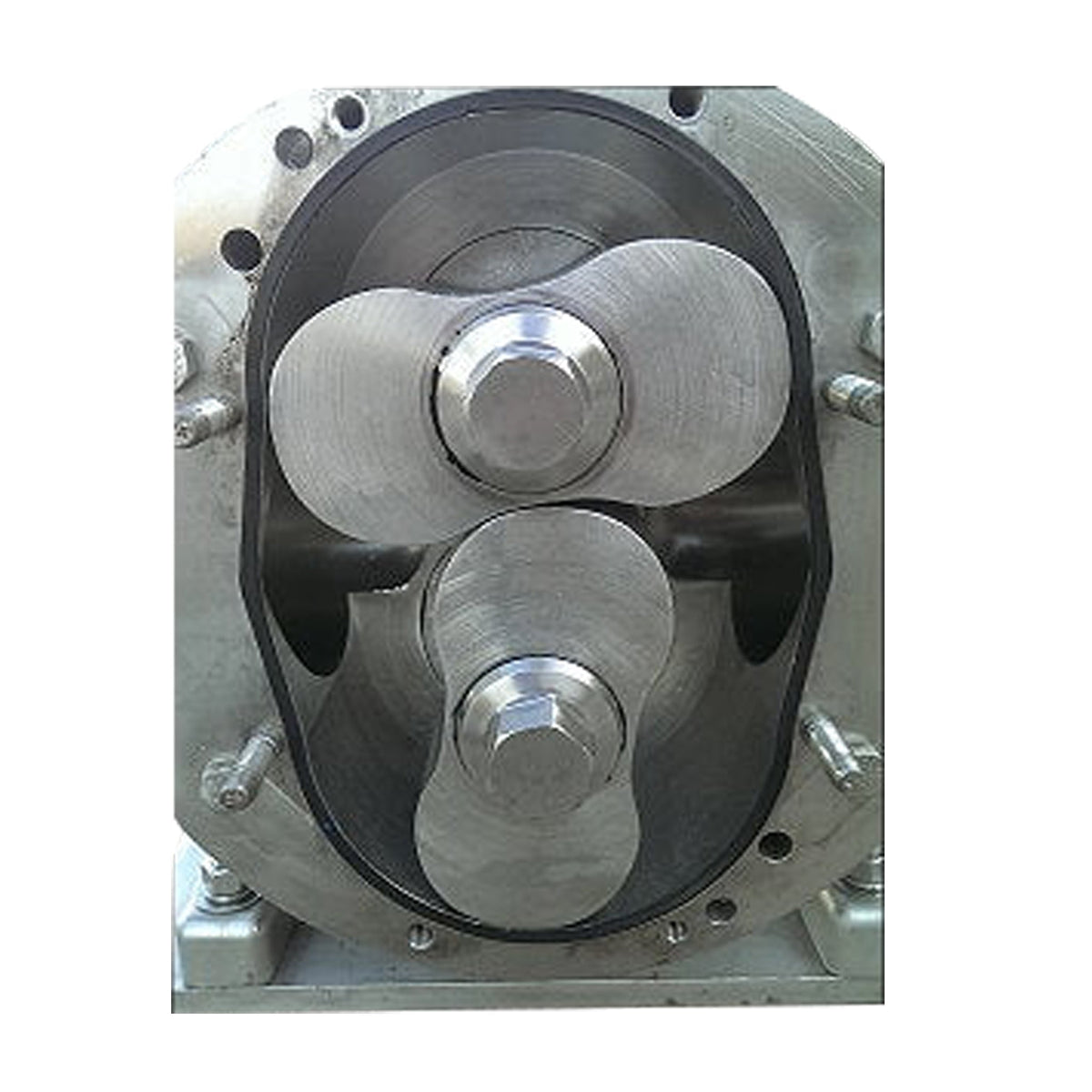 APV Ultra-hygienic Rotary Bi Lobe Pump