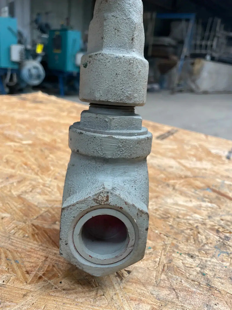 Vilter NISS12A Ammonia Screwed Vilter Globe Valve (1")