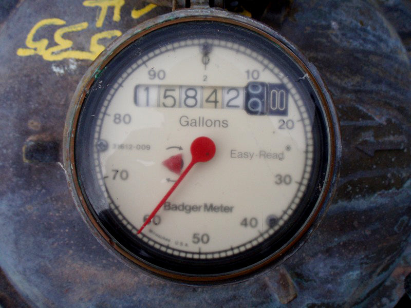 Badger Metering System Brass In-Line Water Meter Badger Metering System 