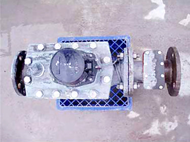 Badger Metering System Brass In-Line Water Meter Badger Metering System 