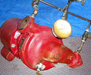 Bell & Gossett Pump ITT Bell & Gossett 