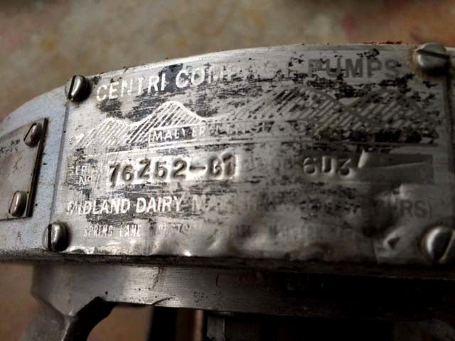 Centri Compact Stainless Steel Centrifugal Pump Centri 